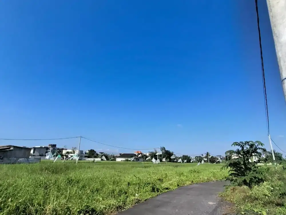 Land for Sale Near Seseh Beach, Mengwi – Suitable for Villa, Guest House & Investment