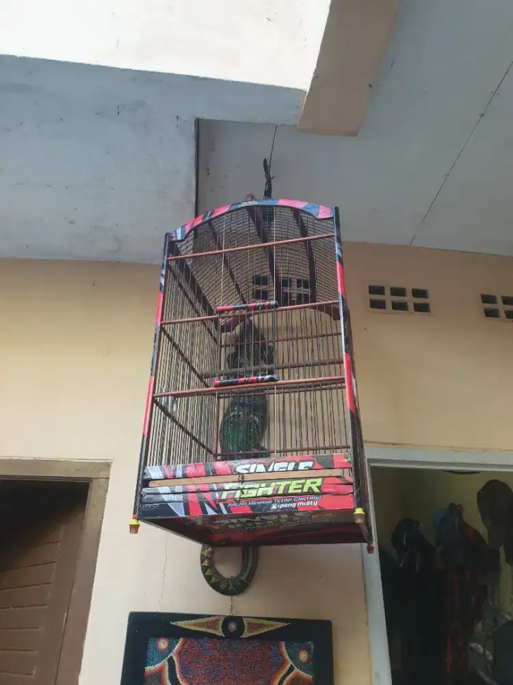 Jual Sangkàr Burung