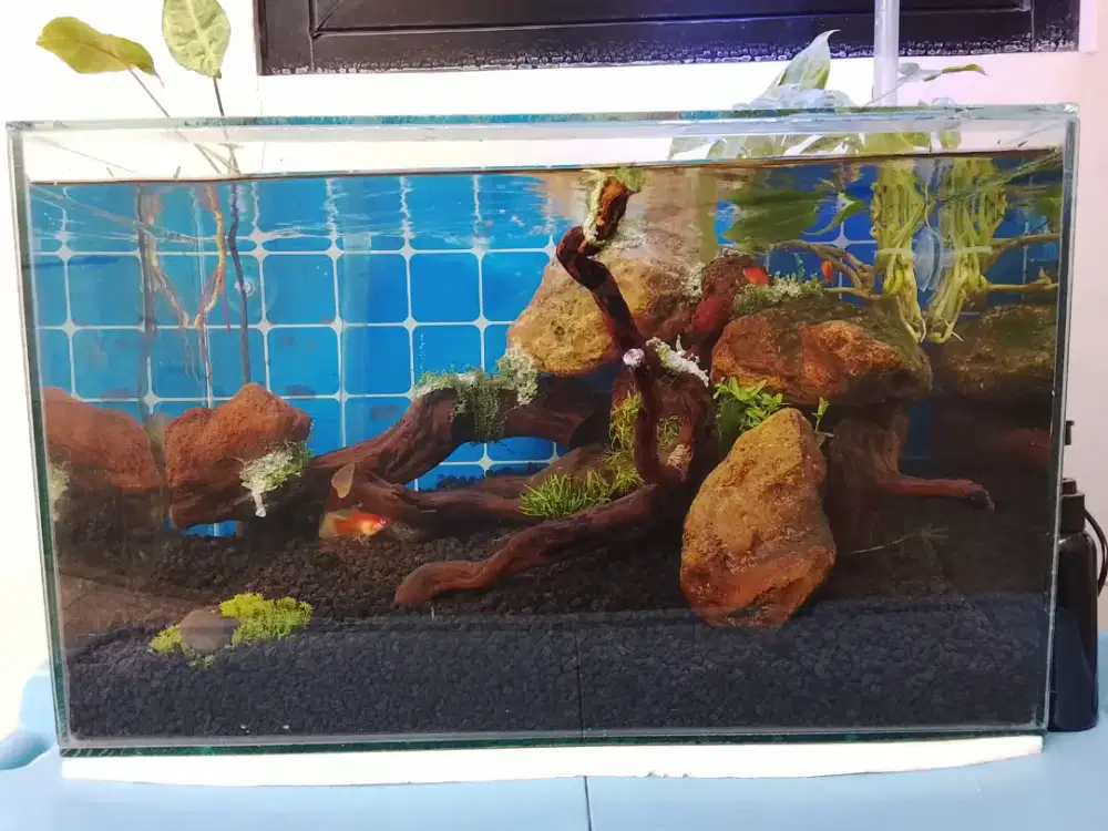 Jual aquarium murah kondisi baru / NEGO