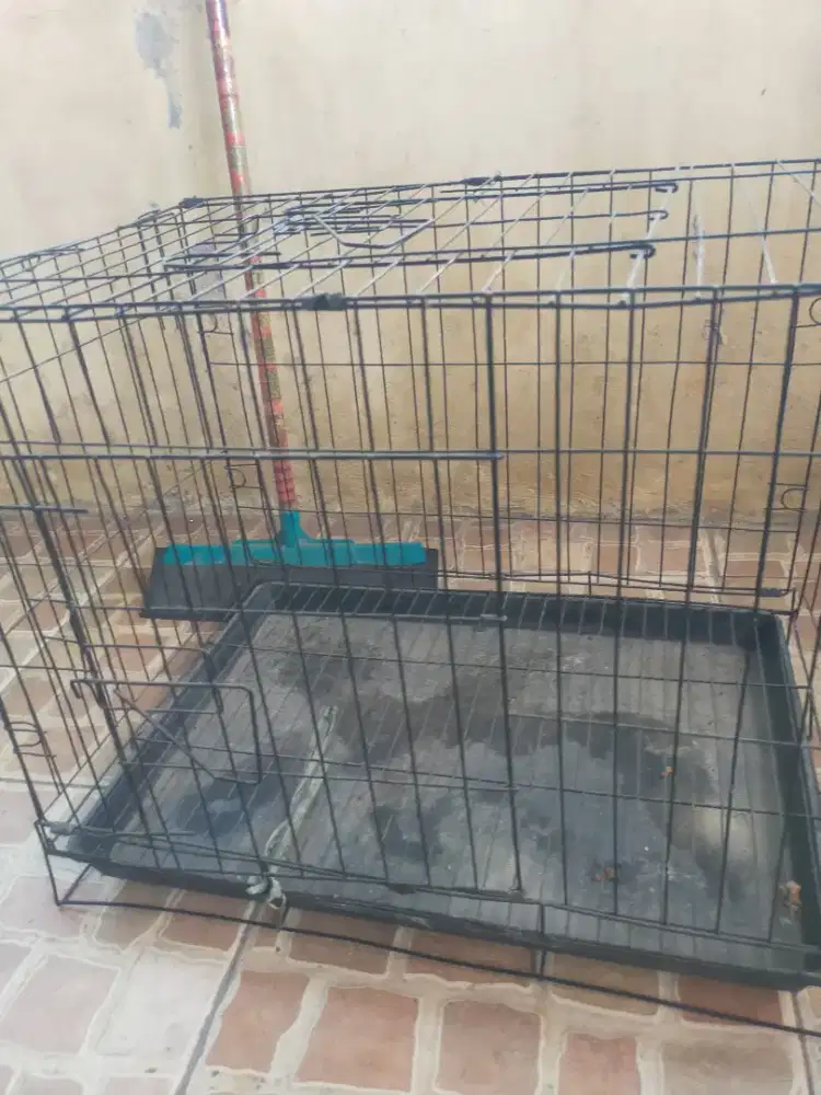 Jual cepat kandang hewan ukuran kecil