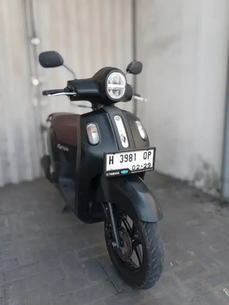 Fazzio lux 2024 dp hanya 299rb aja kak