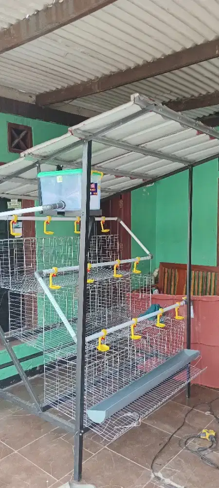 kandang ayam galvanis kapasitas 24 ekor