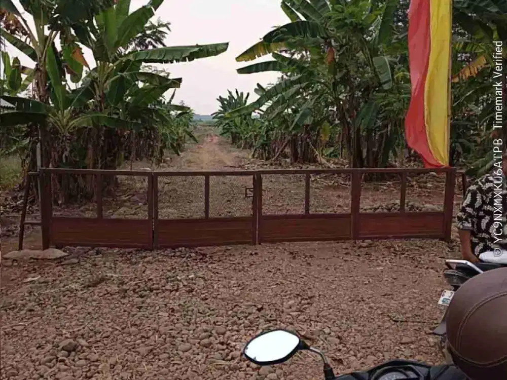 tanah S3 ploting kuning di kota kajen