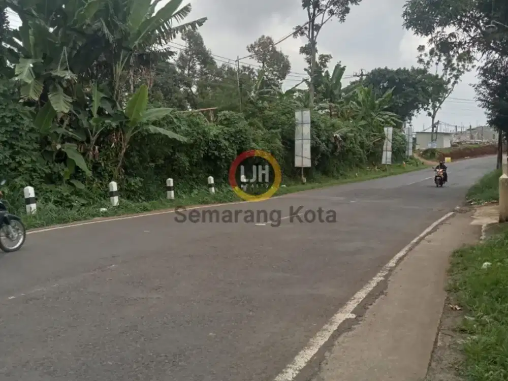 Dijual Tanah Luas dan Subur Cocok untuk Bangun Rumah di Kendal
