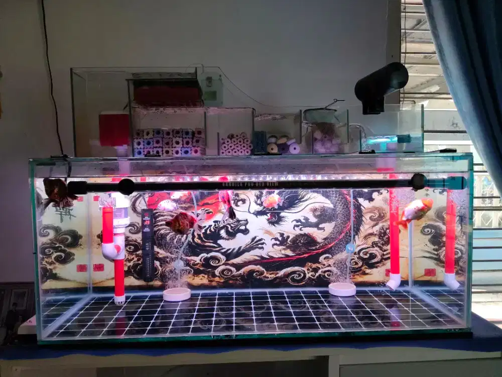 Jual cepat Aquarium Siap Pakai