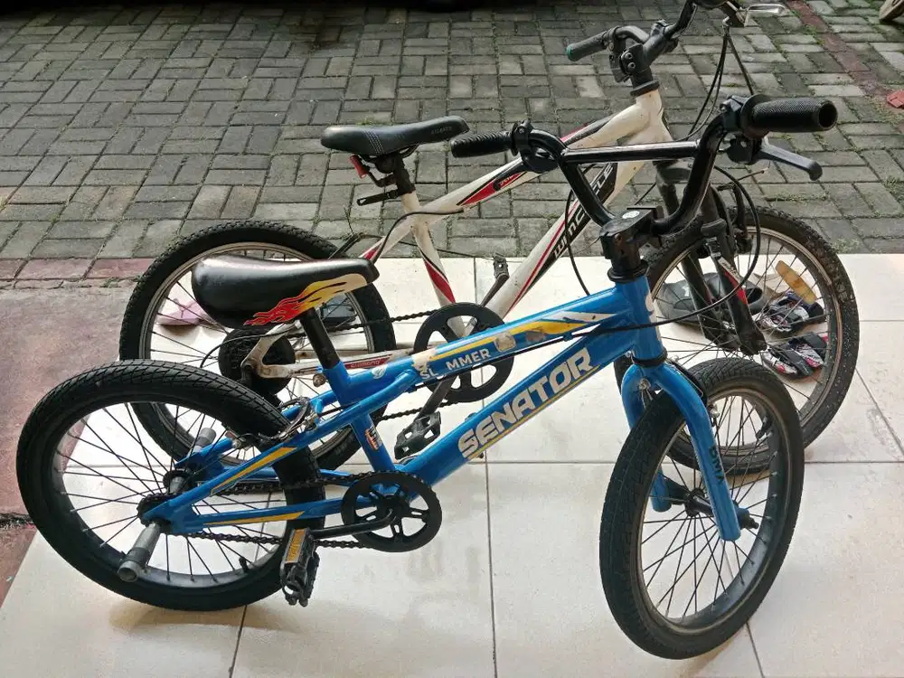 Sepeda anak umur 5 - 10 tahun