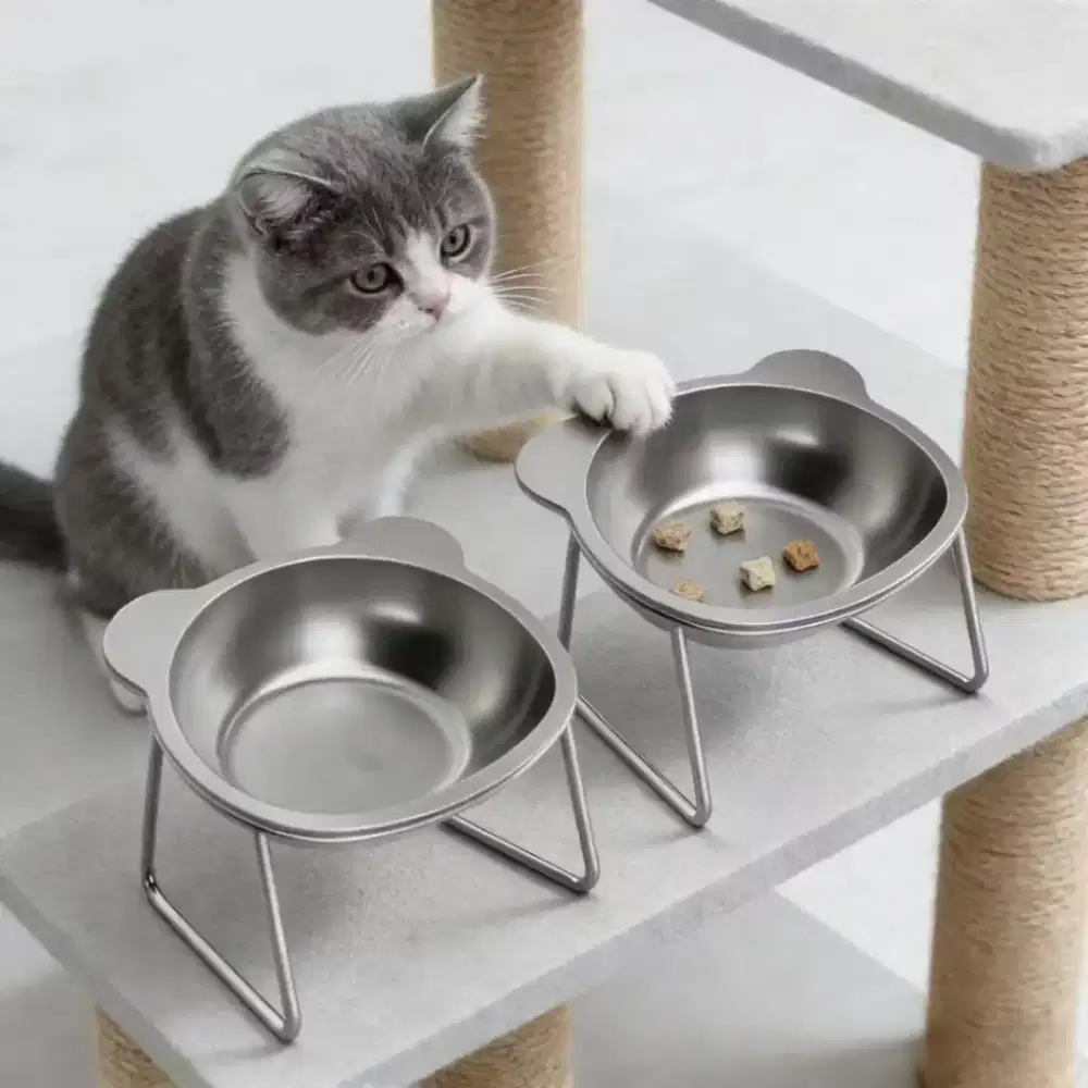 Mangkuk makanan kucing stainless