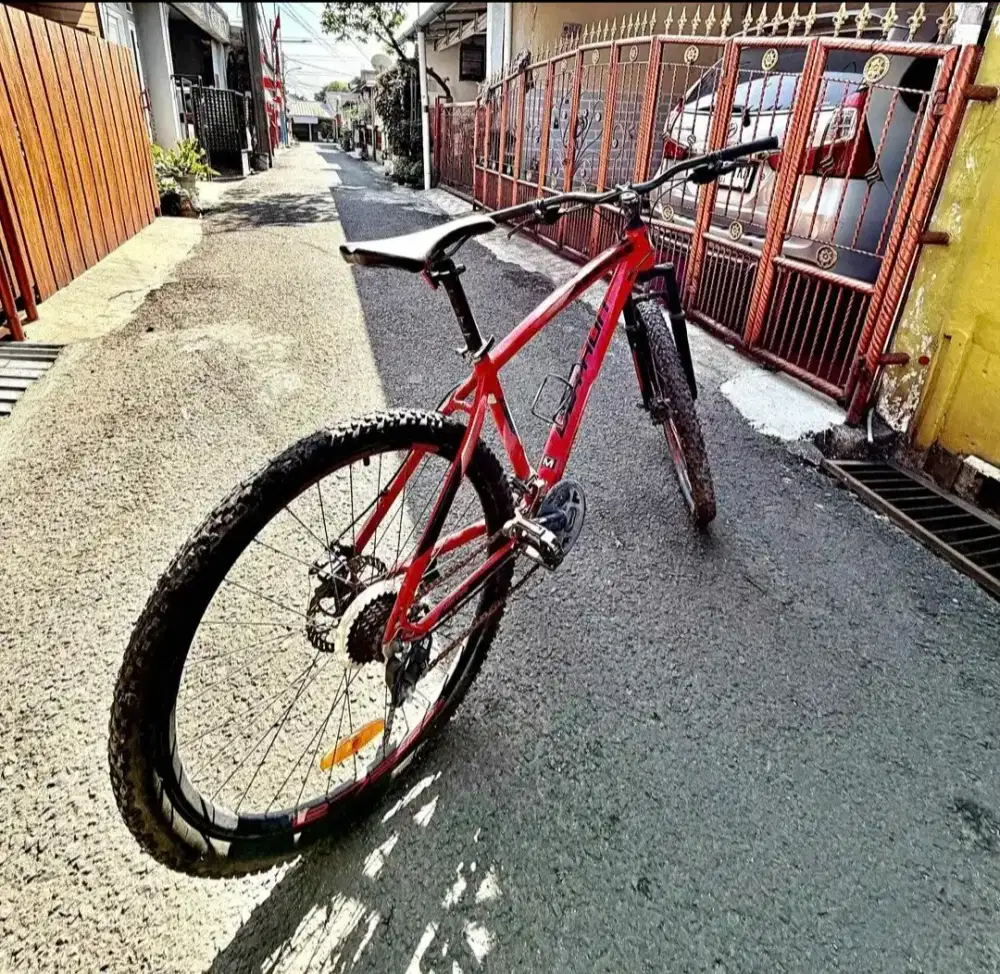 sepeda united detroit 1.00