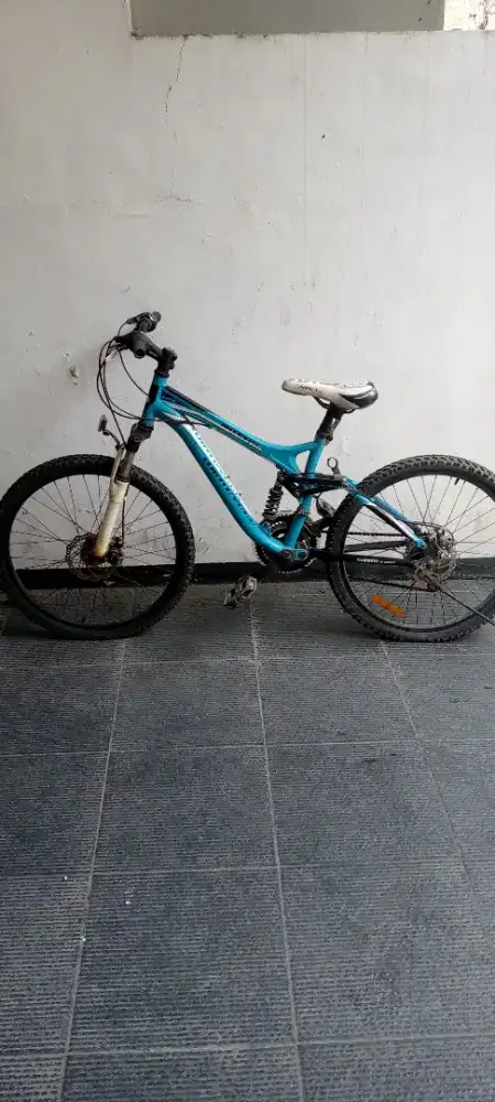 Sepeda gunung wimcycle maxxis DX