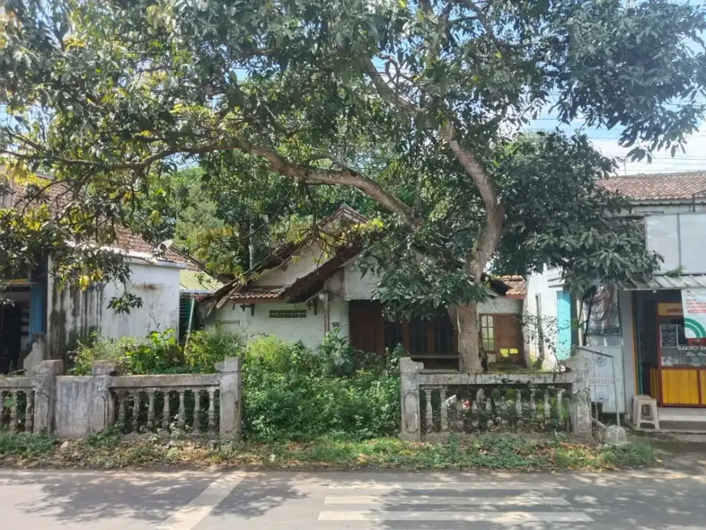 Dijual Hitung Tanah lokasi pinggir jalan besar Sukorejo Kendal Jawa Tengah