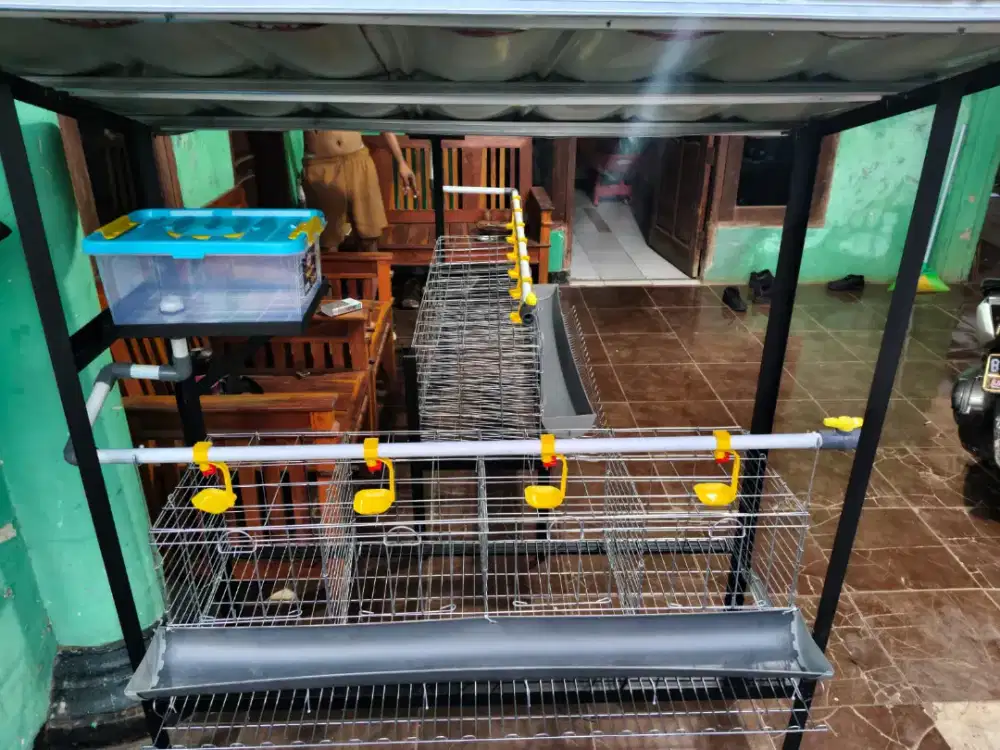 kandang ayam galvanis kapasitas 8 ekor