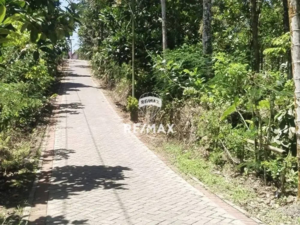 DIJUAL LAHAN KEBUN PRODUKTIF - DESA BULUSARI, KEC. KALIPURO