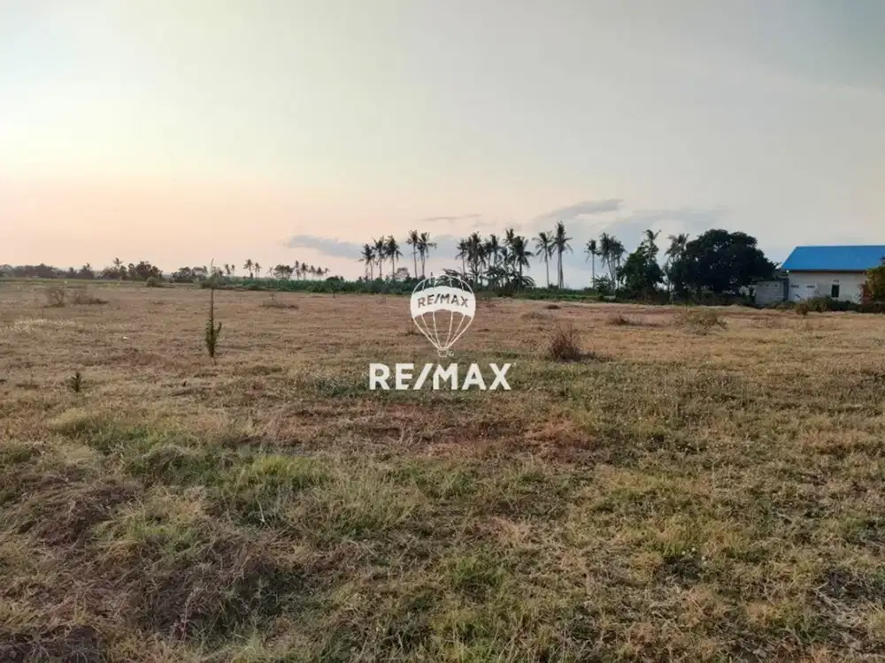 DIJUAL LAHAN STRATEGIS  - WONGSOREJO BANYUWANGI