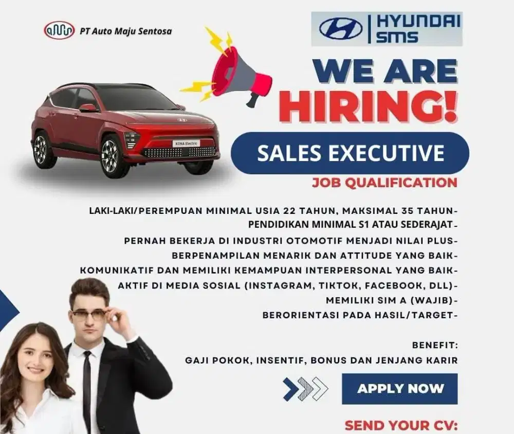 WE ARE HIRING !! Sales executive hyundai