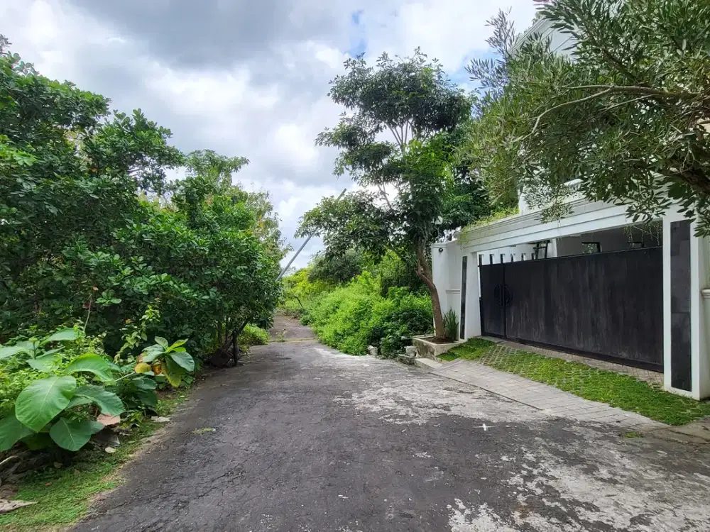 Prime Investment - Lahan Eksklusif 60 Are di Pantai Balangan