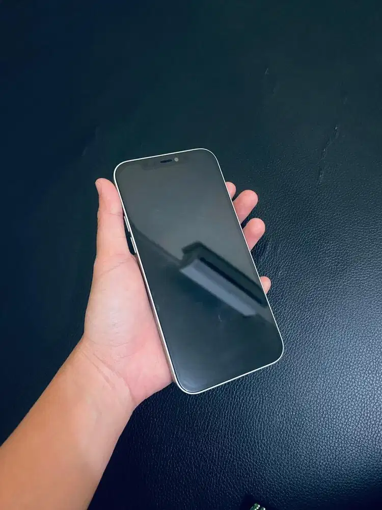 Iphone 12 128 Gb Mint