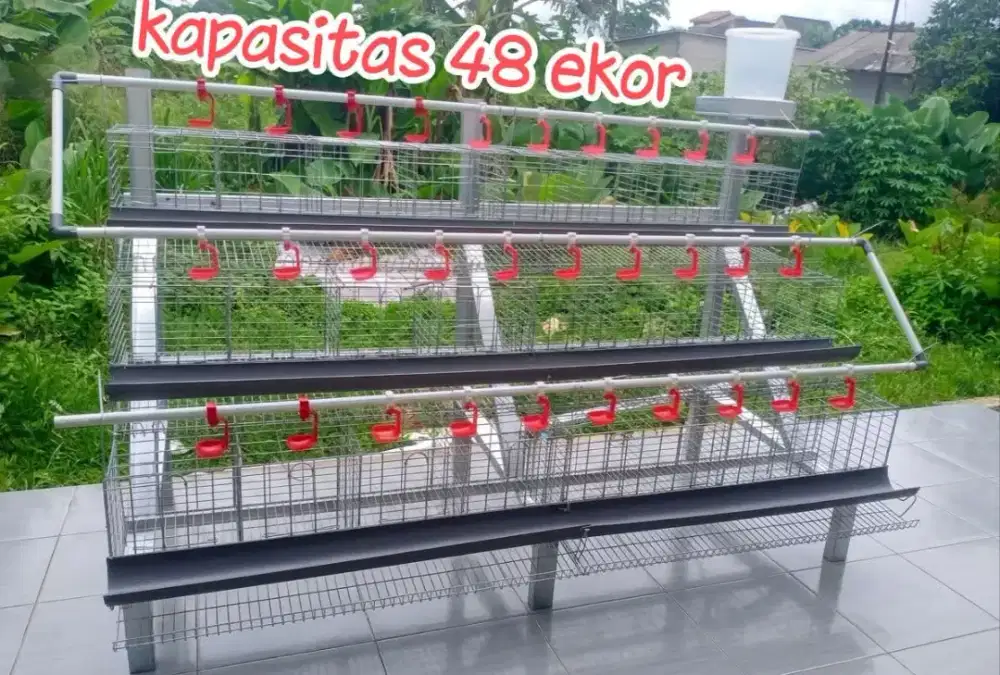 kandang ayam galvanis kapistas 48ekor