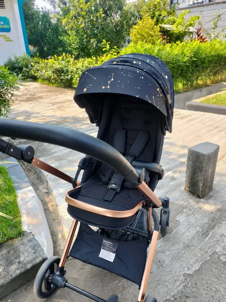 jual cpt ni babydoes rotex