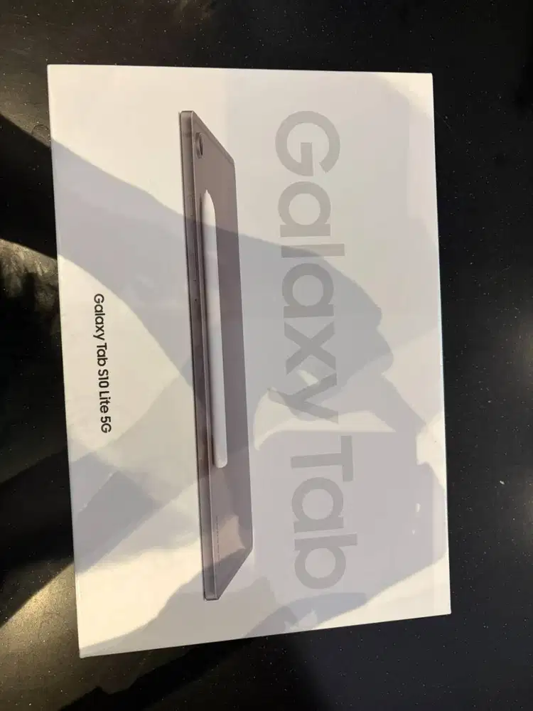 Samsung Galaxy Tab S10 Lite 5G SEGEL