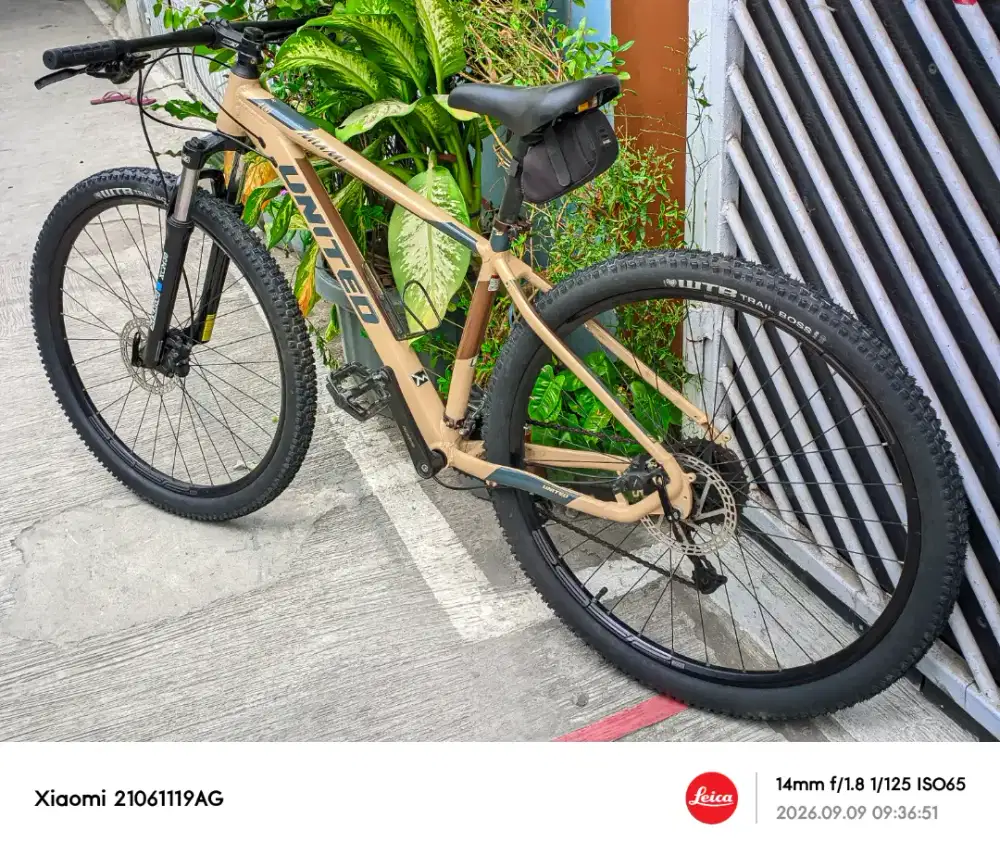 Sepeda gunung 29er MTB United Miami 4.0