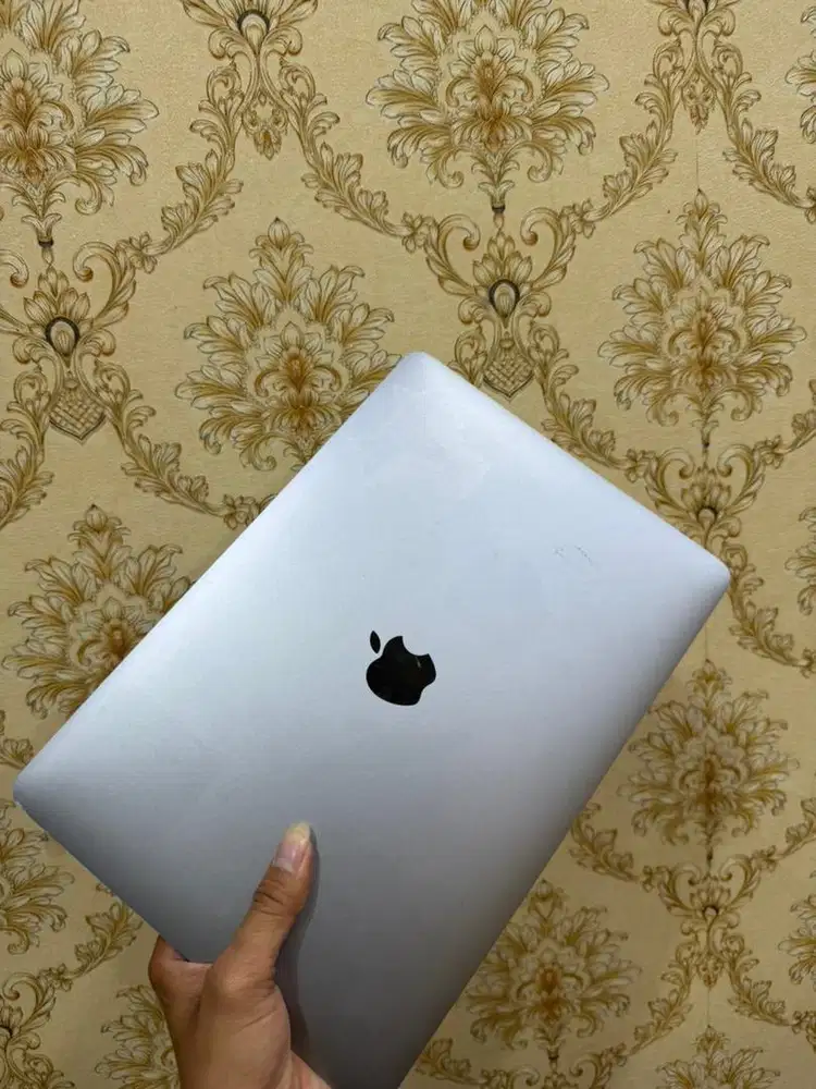 macbook pro 2017 ram 8/256gb resmi ibox