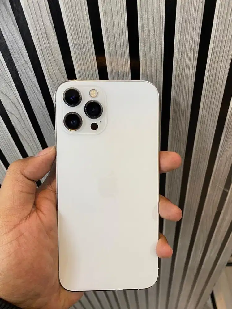 iphone 12 pro max 128 beacukai