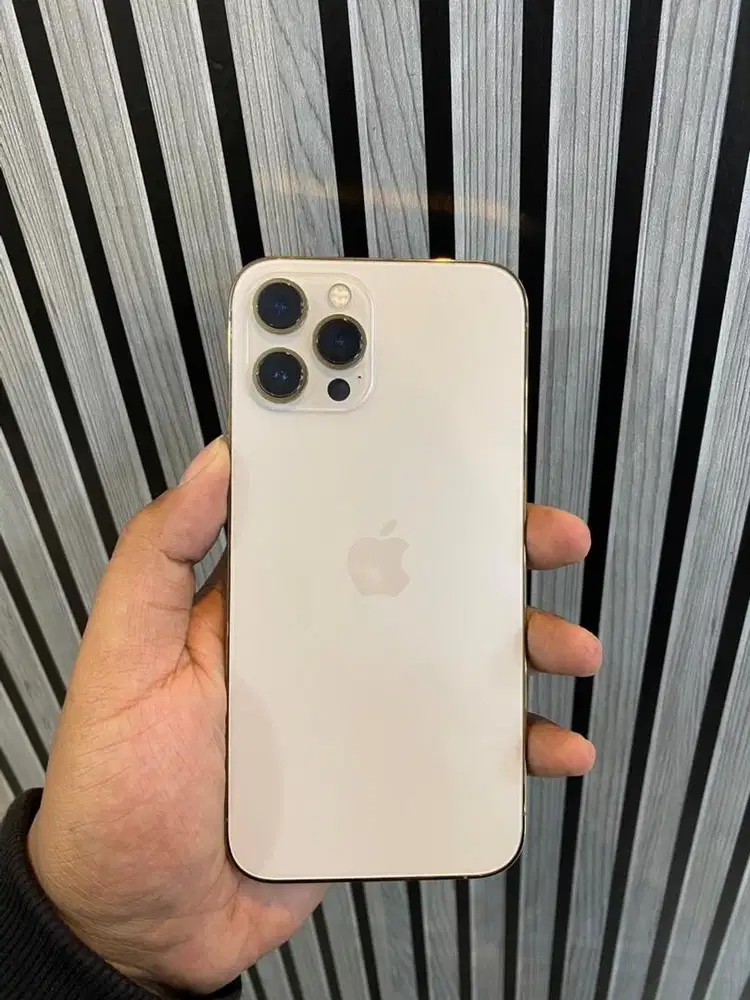 iphone 12 pro max 256 beacukai