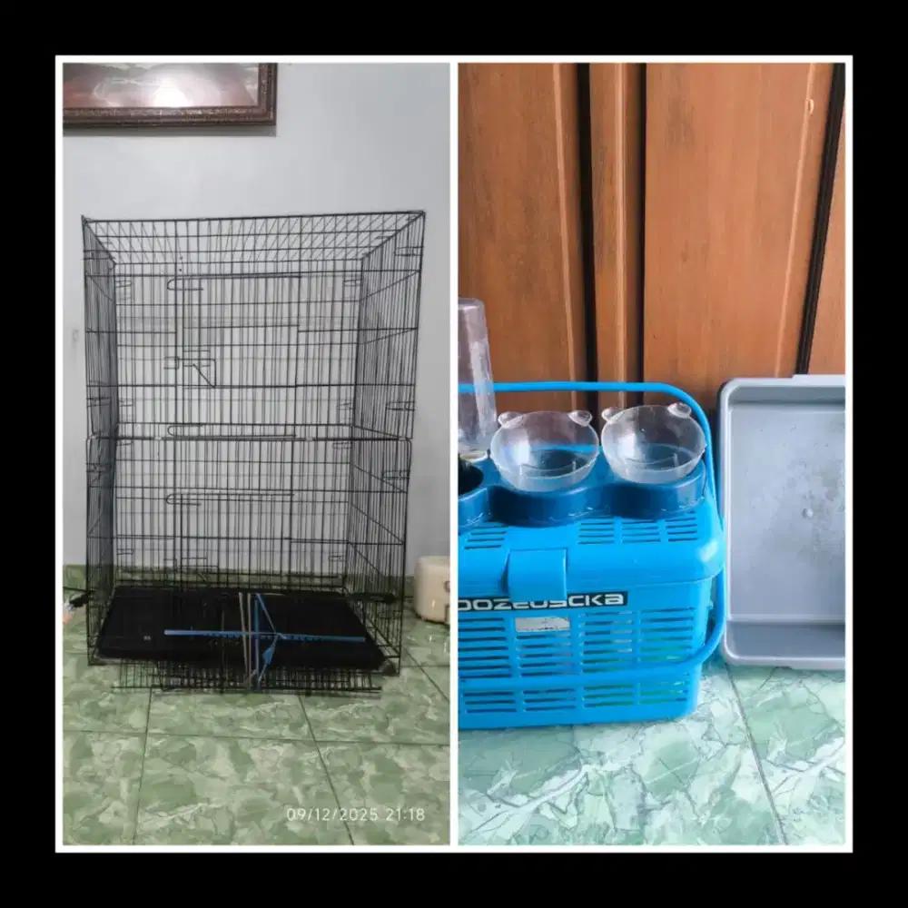 Kandang kucing, kranjang, literbox, tempat makan dan minum