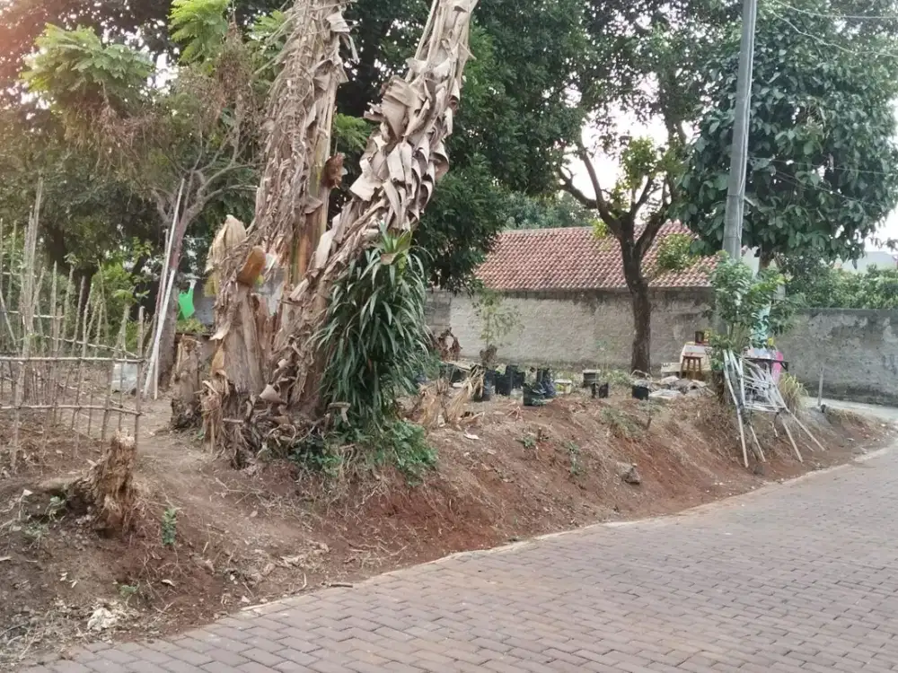 DIJUAL TANAH 250 METER DI AREA BINTARO TANGERANG SELATAN