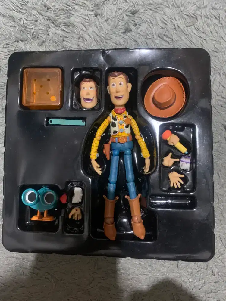 WTS Revoltech Woody Toy Story Action Figure