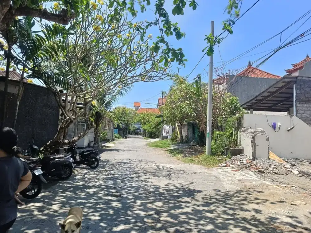 Tanah renon denpasar bali