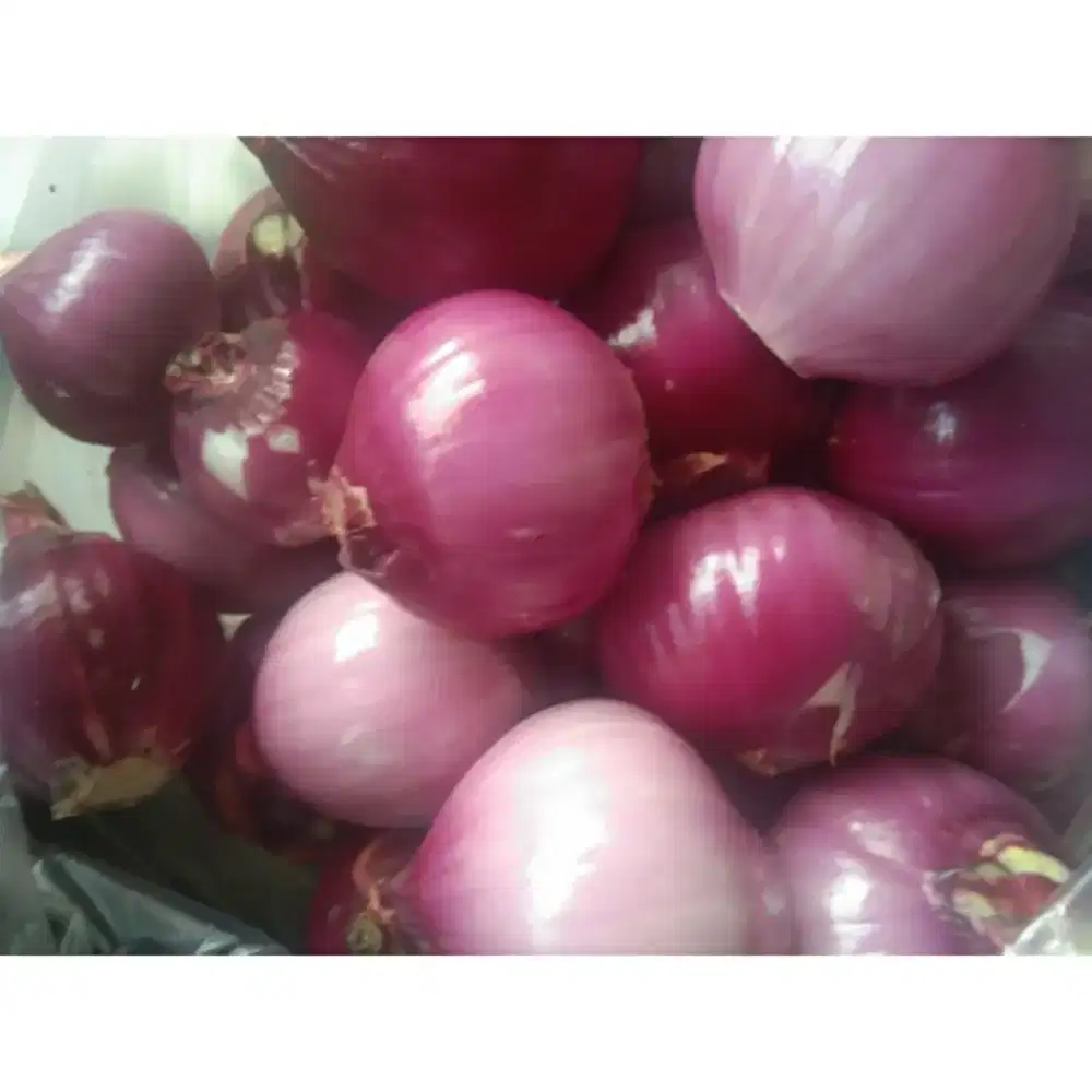 Bawang merah kupas