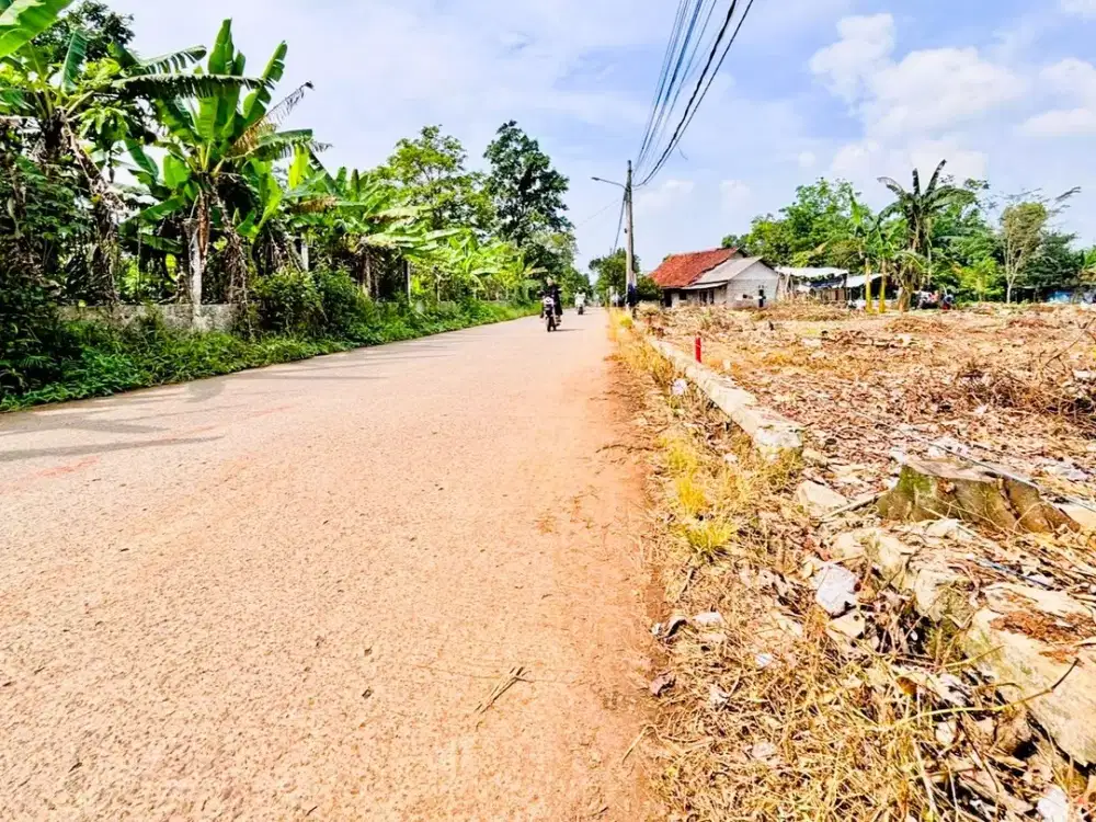 Kavling Area Tangerag Cisauk Lokasi Langsung Pinggir Jalan