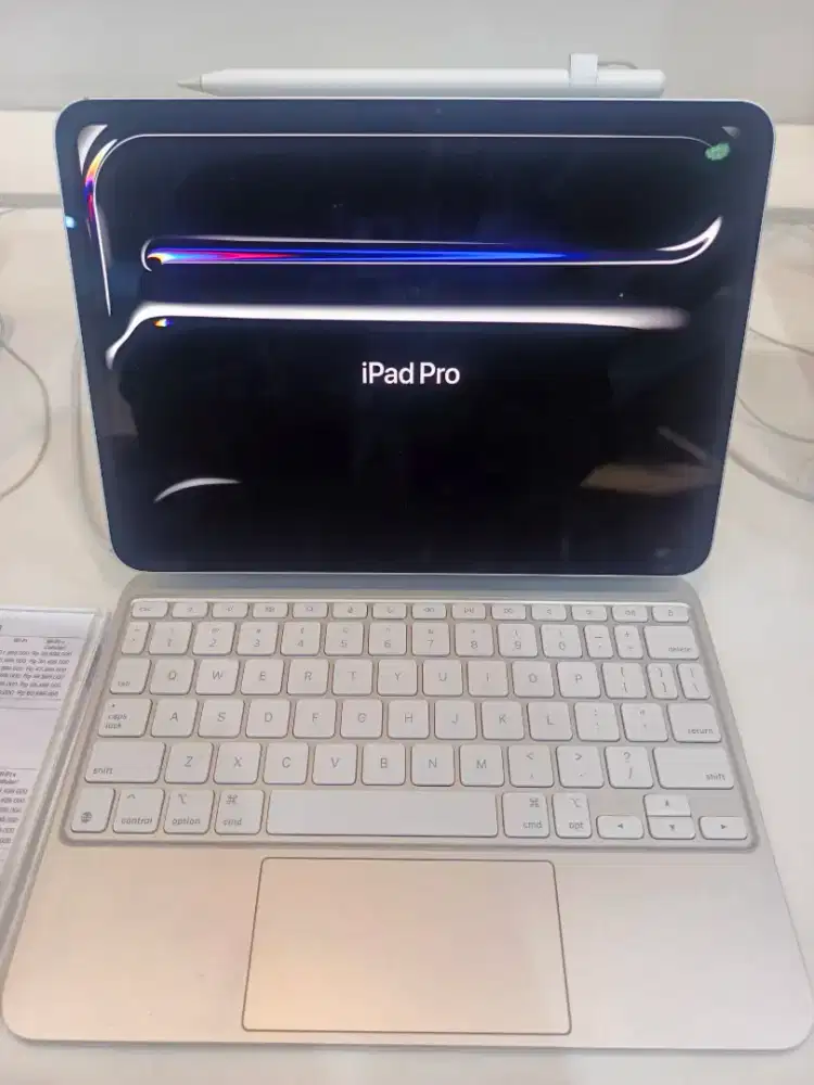 iPad Pro 11 inci