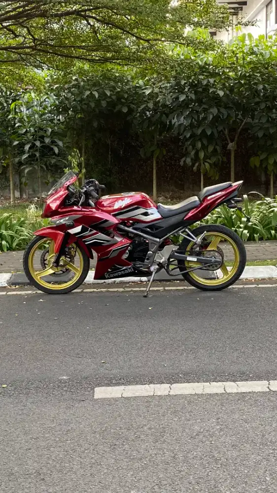 Kawasaki ninja rr 2013