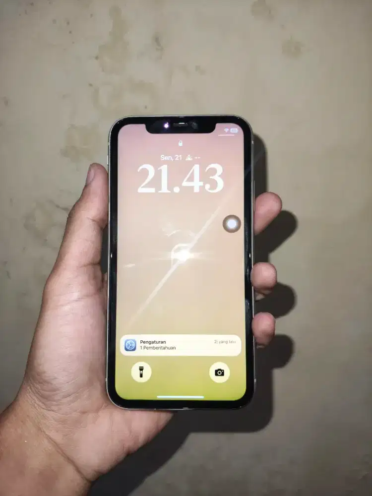 iPhone 11 Basic Ibox