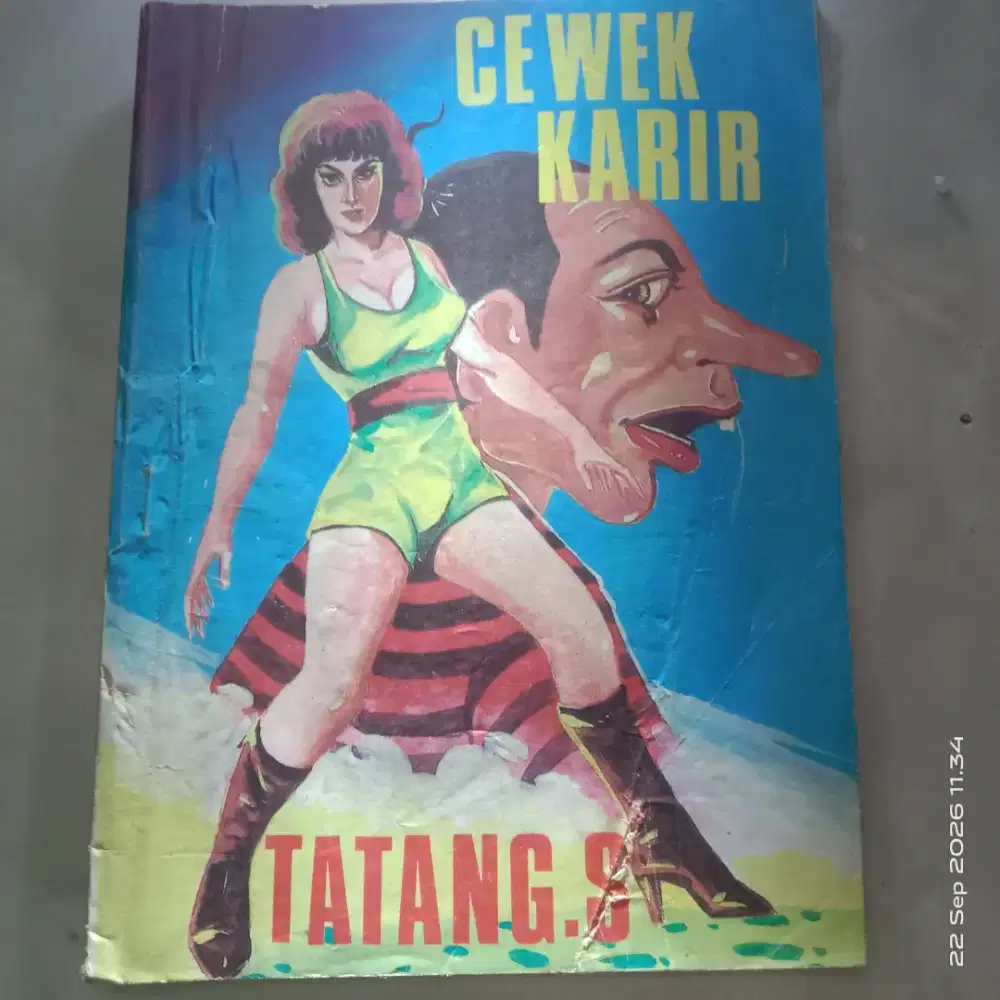 Komik petruk tatang s cewek karir