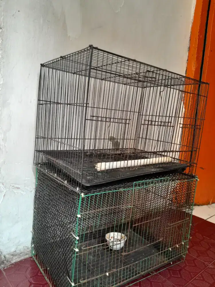 Angkut semua gocap aje