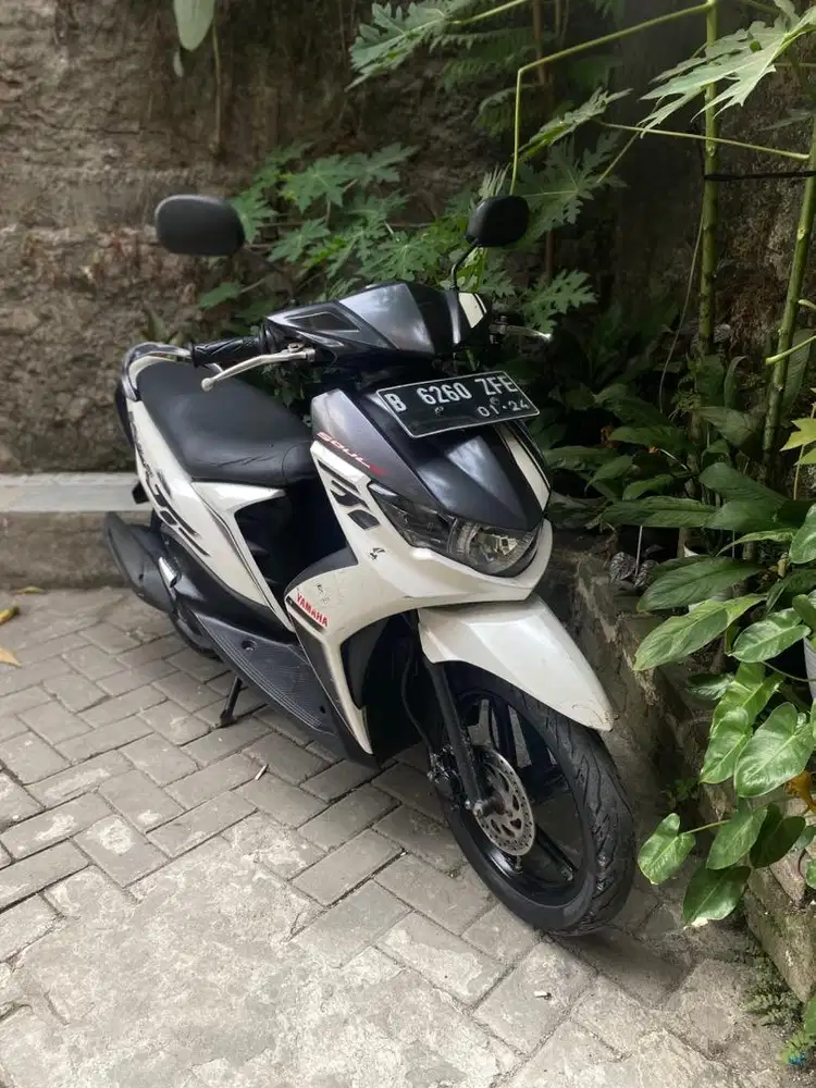 Yamaha soul GT 2013