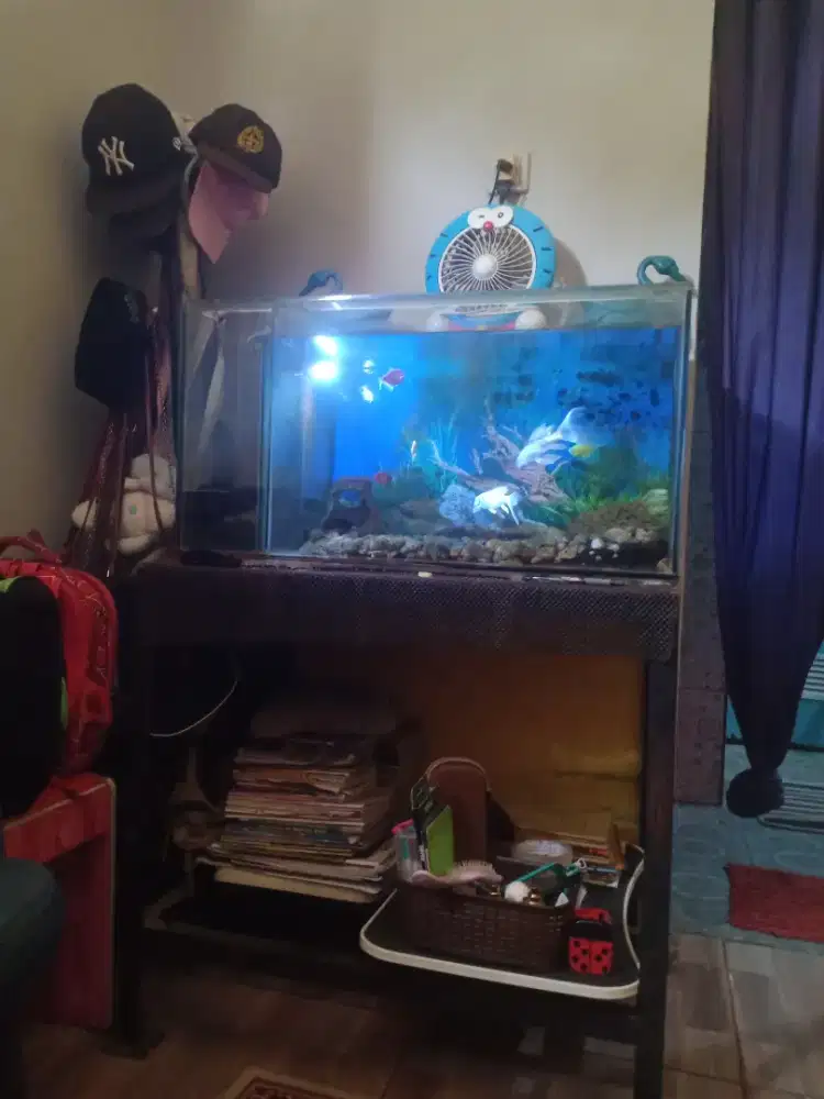 Jual aquarium+ikan+rak besi