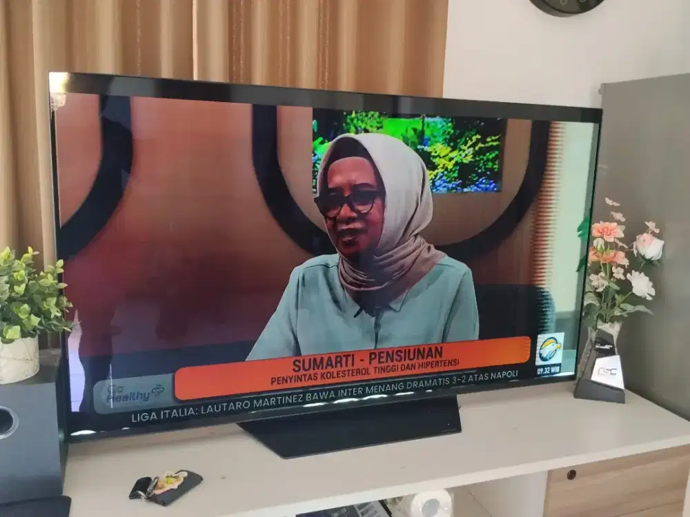 Tv LG Oled 55in