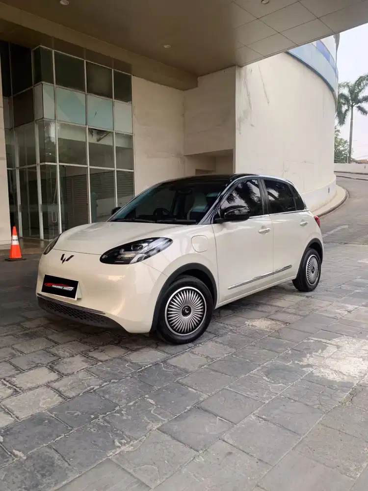 Wuling Binguo EV Premium Range 410km 2024
