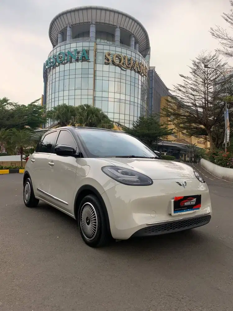 Binguo EV Premium Range 410km 2024