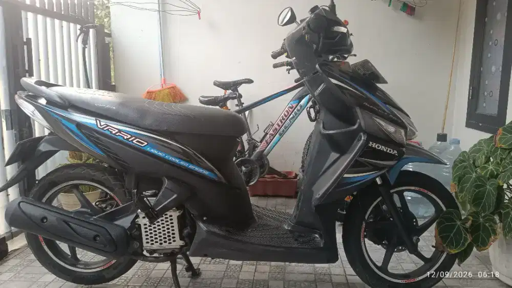 Vario karbu 110