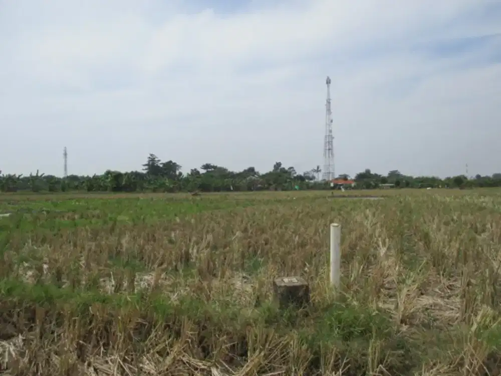 Dijual Tanah Sawah Desa Purwadana TelukJambe Timur Karawang