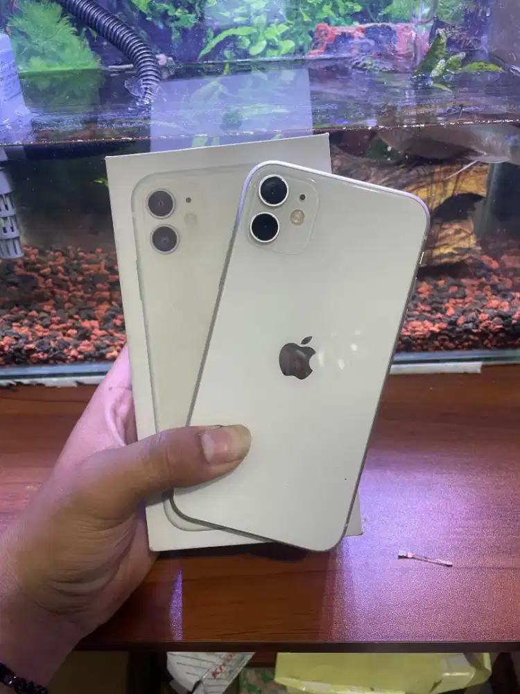 Iphone 11 256Gb ex inter (imei regis)