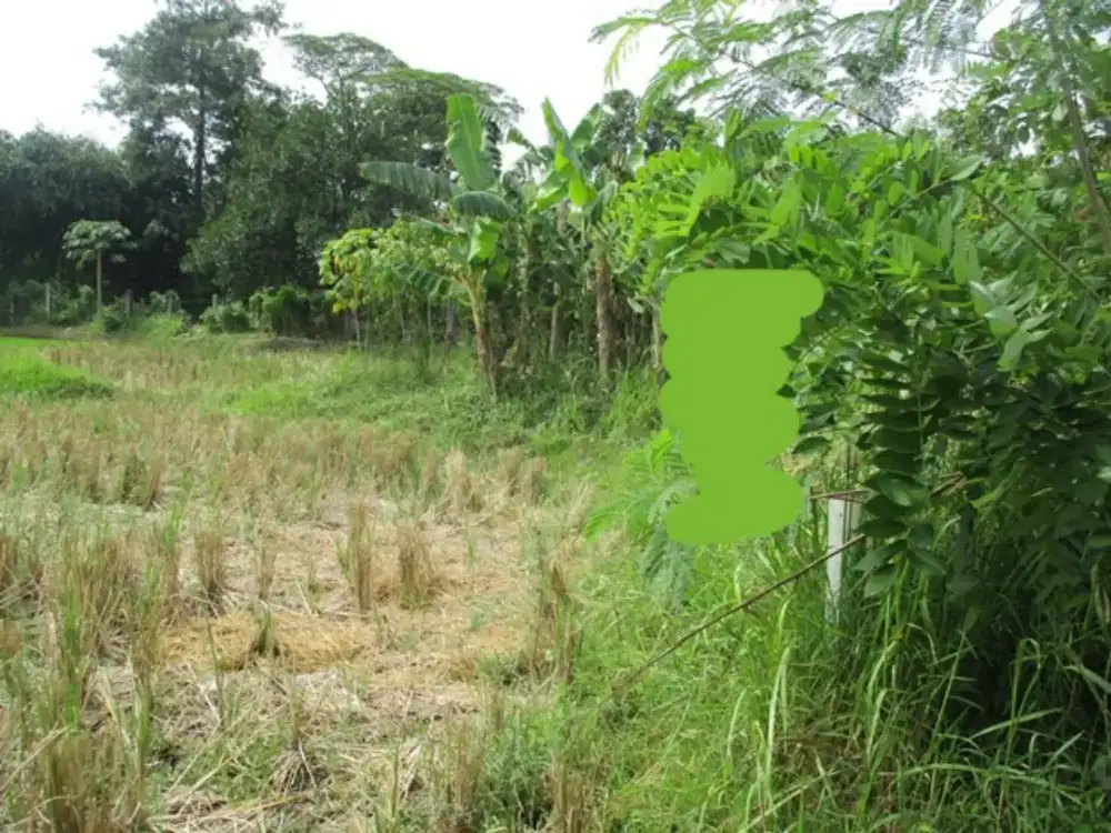 Dijual Tanah Desa Purwadana Telukjambe Timur Karawang