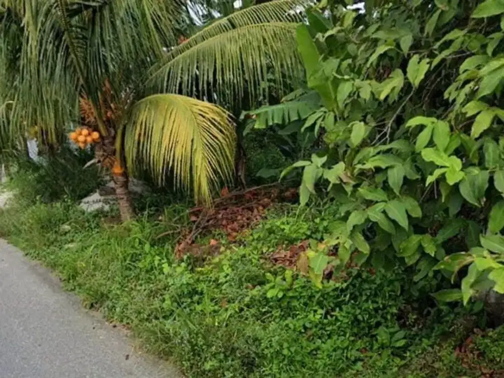 Dijual tanah jl. bata 1 tenayan raya pekanbaru