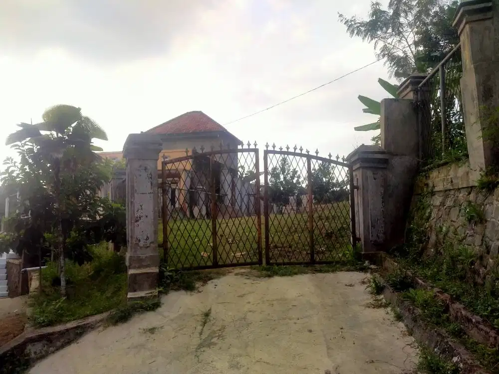 Rumah-Kolam produktif-Kebun-Sawah ditanam padi - DIJUAL MURAH