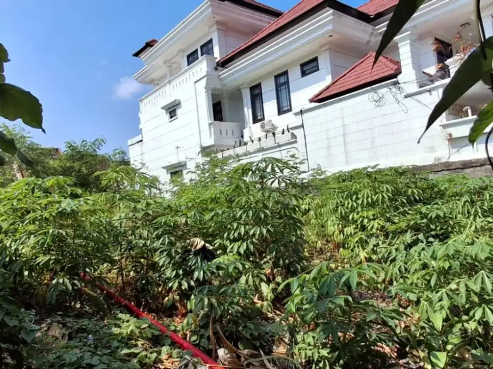 Tanah Padat 3,4 Are Siap Huni Dijual di Renon, Denpasar Selatan